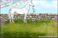 Horse Color:Gray Brown Dun Tobiano