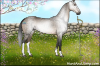 Horse Color:Gray Brown Dun Tobiano Rabicano 