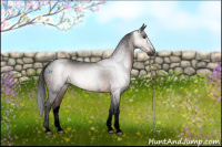 Horse Color:Gray Void Brown Tobiano Rabicano 