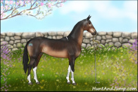 Horse Color:Gray Brown Tobiano