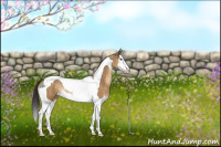 Horse Color:Buckskin Dun Splash Tobiano 