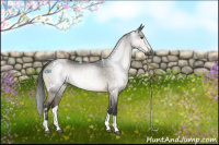 Horse Color:Gray White Spotted Brown Dun Tobiano 