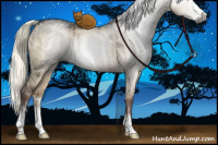 Horse Color:Gray Liver Red Dun Mushroom Sabino Brindle 