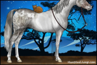 Horse Color:White Spotted Liver Red Dun Ice Onyx Mushroom Sabino Brindle