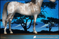 Horse Color:Gray White Spotted Brown Ice Pearl Dun Mushroom 