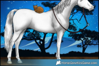Horse Color:Gray White Spotted Liver Red Dun Mushroom Sabino