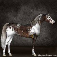 Horse Color:White Spotted Liver Chestnut Ice Sabino Varnish 