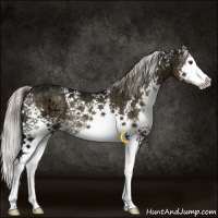 Horse Color:White Spotted Chocolate Palomino Ice Mushroom Splash Rabicano