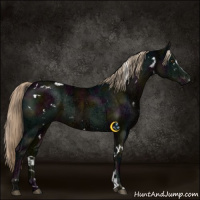 Horse Color:White Spotted Midnight Chocolate Palomino Ice Mushroom Sabino