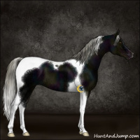 Horse Color:Midnight Liver Chestnut Ice Mushroom Tobiano