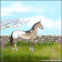 Horse Color:Liver Red Dun Snowcap Brindle 