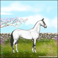 Horse Color:Grullo Near Fewspot 