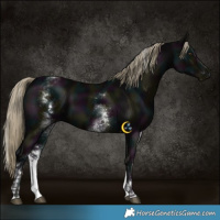 Horse Color:White Spotted Midnight Liver Chestnut 