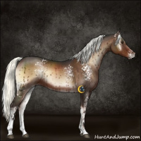 Horse Color:White Spotted Liver Red Onyx Mushroom Tobiano 