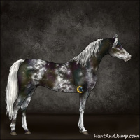 Horse Color:White Spotted Midnight Liver Chestnut Mushroom