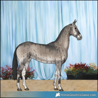 Horse Color:Grullo Onyx Brindle 