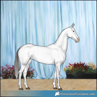 Horse Color:Liver Red Dun Sabino Appaloosa Brindle 