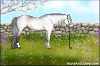 Horse Color:Gray White Spotted Brown Dun Tobiano 