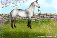 Horse Color:Gray Void Brown Dun Tobiano Appaloosa 