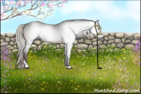 Horse Color:Gray Silver Brown Tobiano