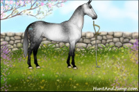 Horse Color:Gray Void Brown Splash Tobiano Snowcap 