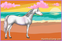 Horse Color:Gray Watercolor White Spotted Chocolate Palomino Onyx 
