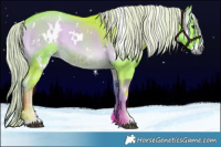 Horse Color:Watercolor White Spotted Chocolate Palomino Onyx Rabicano 