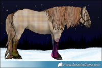 Horse Color:Void Plaid  Liver Red Dun Tobiano 