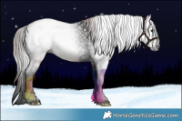 Horse Color:Gray Void Plaid  Liver Red Dun Tobiano 