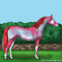 Horse Color:Watercolor White Spotted Liver Red Onyx