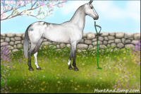 Horse Color:Gray Brown Dun Sabino Appaloosa Rabicano