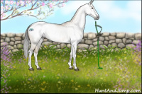 Horse Color:Gray Buckskin Dun Sabino Snowcap 