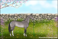 Horse Color:Platinum Buckskin Dun Sabino Rabicano