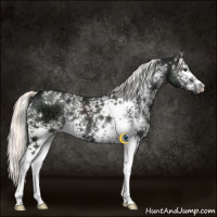 Horse Color:White Spotted Liver Chestnut Ice Mushroom 
