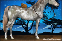 Horse Color:White Spotted Liver Red Dun Ice 
