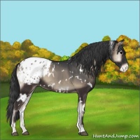 Horse Color:White Spotted Blue Onyx Blanket 