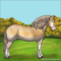 Horse Color:Palomino Onyx Sabino 