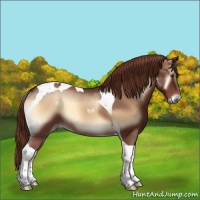 Horse Color:Red Onyx Sabino Tobiano 