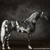 Horse Color:White Spotted Liver Chestnut Ice Mushroom 