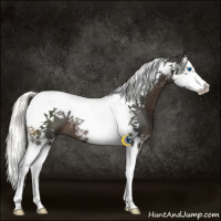 Horse Color:Liver Chestnut Mushroom Splash Tobiano 