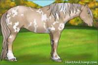 Horse Color:White Spotted Chocolate Palomino Pearl 