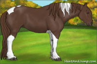 Horse Color:Liver Chestnut Tobiano 