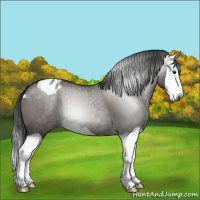 Horse Color:Gray Grullo Splash Blanket