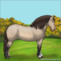 Horse Color:Bay Dun Sabino Varnish 
