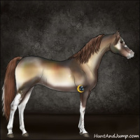 Horse Color:White Spotted Liver Red Onyx 