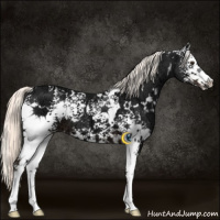 Horse Color:White Spotted Liver Chestnut Ice Mushroom 