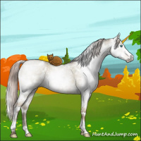 Horse Color:Gray Chocolate Palomino Ice Pearl Dun Mushroom Sabino Brindle 