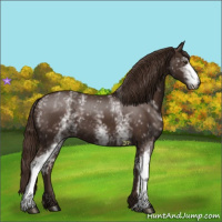 Horse Color:White Spotted Liver Chestnut 
