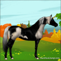 Horse Color:Void Liver Red Dun Pearl Mushroom Splash Tobiano 