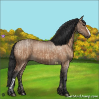Horse Color:Brown Dun  and Brown Dun 
